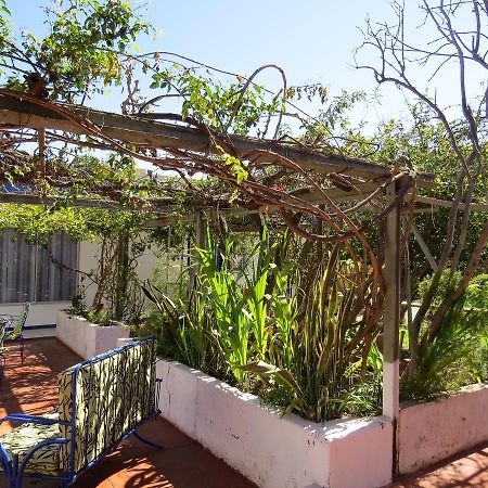 Palace Hotel Copiapo Ngoại thất bức ảnh