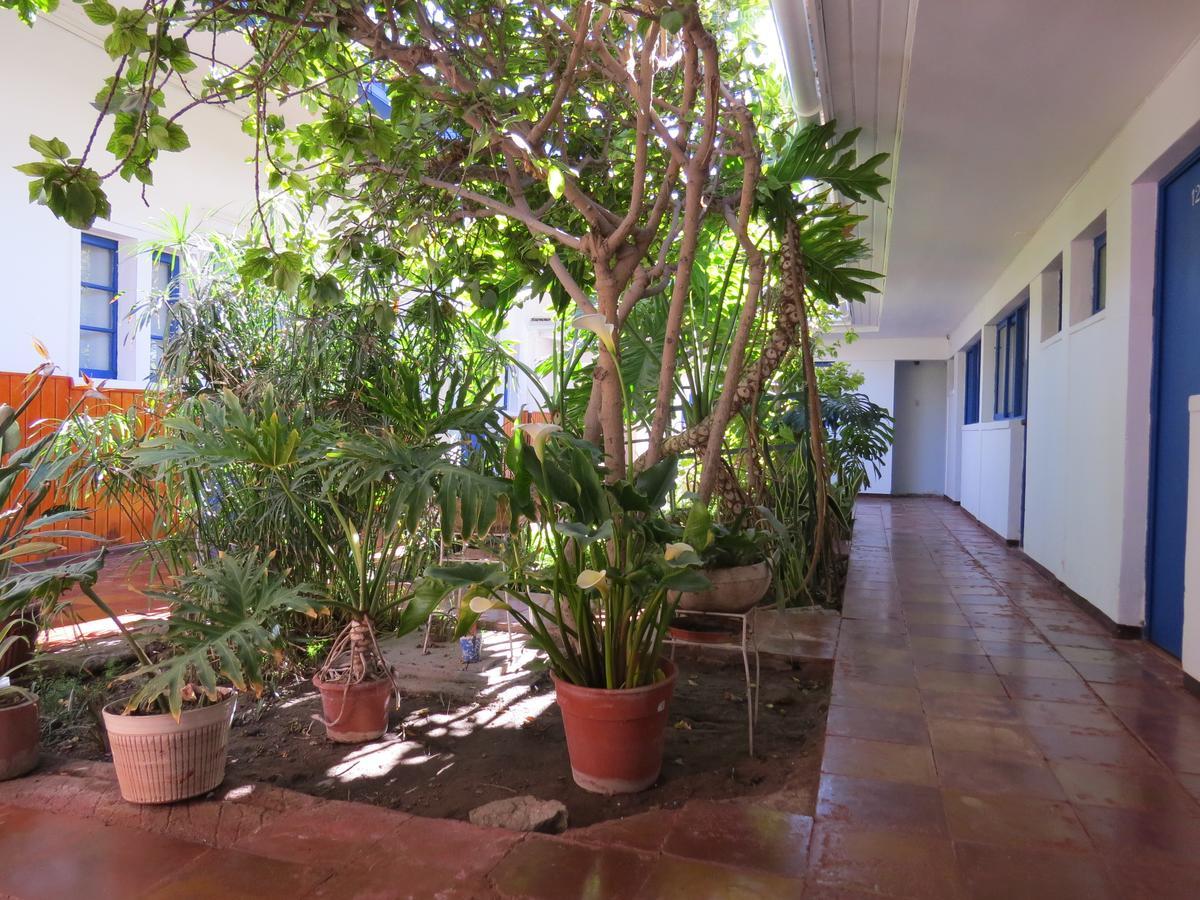 Palace Hotel Copiapo Ngoại thất bức ảnh